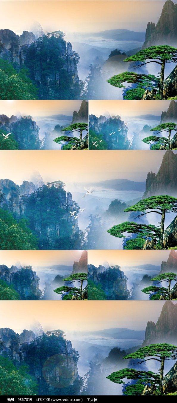 加入荆芥移栽能成活吗?星球,开启知识新旅程